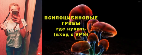 ешки Алексин