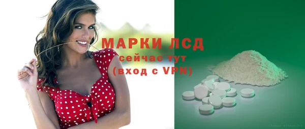 ГАЛЛЮЦИНОГЕННЫЕ ГРИБЫ Вяземский