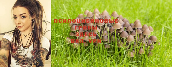 ECSTASY Абаза