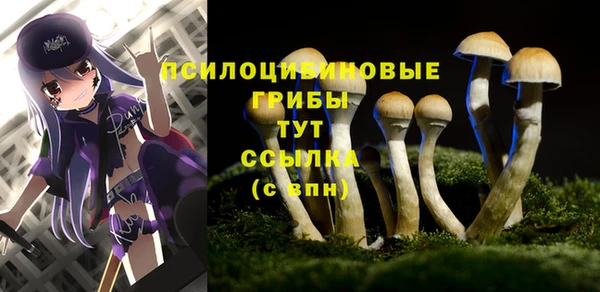 кокаин премиум Ельня