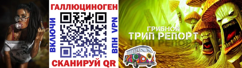 Псилоцибиновые грибы GOLDEN TEACHER  Серпухов 